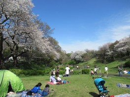 憩いの場としてのスペースも広い