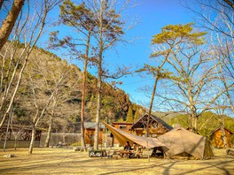 フリーテントサイトは、林間のキャンプエリア内の気に入った場所でキャンプが楽しめる
