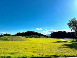 澄み渡る青空と広大な草原が広がるキャンプ場