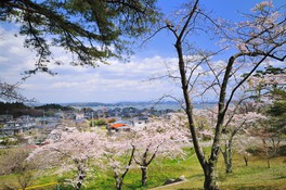 展望台から太平洋、金華山、蔵王連峰の眺望を楽しめる