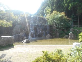 一本松公園(昭和の森)