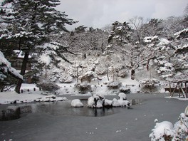 冬を迎え、雪を被った胡月池脇のツツジ
