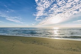 雄大な自然を楽しめる海水浴場
