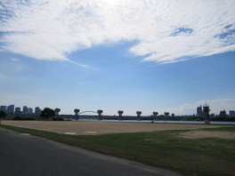毛馬地区の公園では水鳥が多く見られる