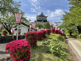 天守閣様式の展望台と満開の桜が日本らしさを醸し出す