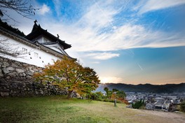 但馬の小京都と呼ばれる出石は、この城の築城とともに整備された