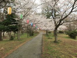 園内を桜の花が華やかに彩り、多くの花見客が訪れる