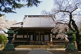 桜に彩られた春の根本中堂正面