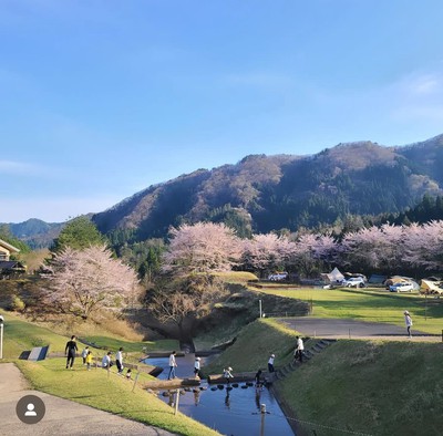 阿瀬渓谷の樹木の緑豊かなキャンプ場