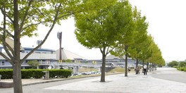 岡崎市のほぼ中央に位置する巨大な総合公園