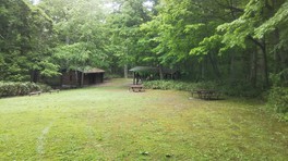 木々に囲まれた自然豊かなキャンプ場