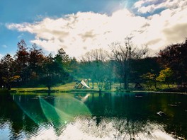 日本一の白樺林に癒される