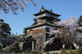春には約400本のソメイヨシノが城内を彩る