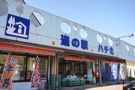 冬は一面銀世界に包まれる