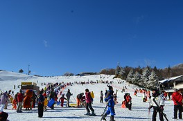 愛知県内でスキーができるのはここだけ