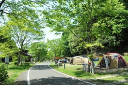 四方を森に囲まれているので大自然を感じられる