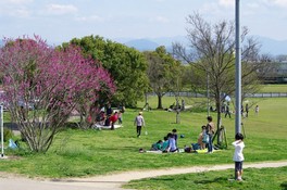 ピクニックに利用する人も多く見られる芝生エリア