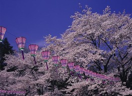 春には満開の桜が園内を彩る