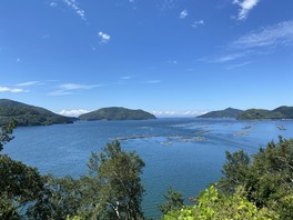 宇和海のリアス海岸が一望できる