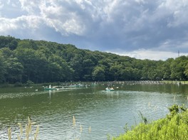 金太郎の池には水鳥が泳ぐ姿も見られ、のんびりとした風景に癒される