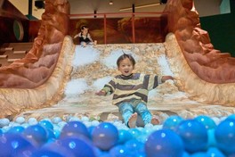 デジタルとアナログの融合で広がる夢の島