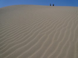 砂の表面に波打つように描かれる風紋