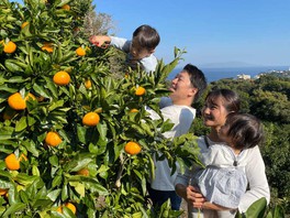 温暖な気候の中でミカン狩りが満喫できる観光農園