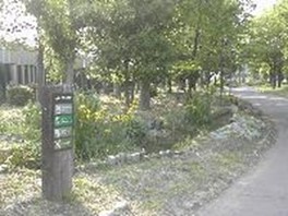 広大な敷地を持つ公園