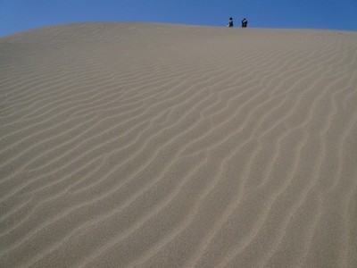 砂の表面に波打つように描かれる風紋