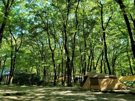 川沿いでのキャンプ場で四季を満喫できる