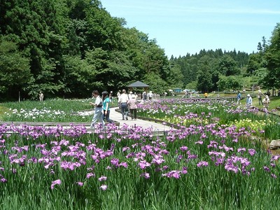 しらさぎ森林公園 新潟県 の情報 ウォーカープラス