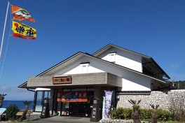 鯨の生態や捕鯨の歴史を紹介する鯨資料館もある