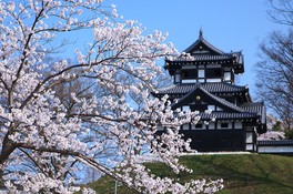 公園全体が新潟県の史跡に指定されている