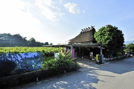 中島農園