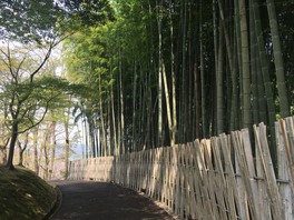 竹の道など趣のあるエリアが多く散策だけでも楽しい