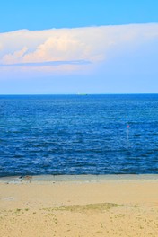 穏やかな波の遠浅海岸は家族連れにぴったり