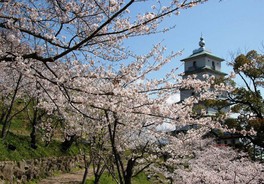 県内有数の桜の花見スポット