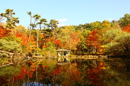 秋には鮮やかに色づく紅葉が楽しめる