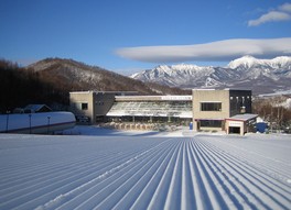 子どもから大人まで幅広い層が楽しめる