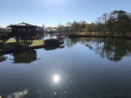 水に親しむ癒しのスポット