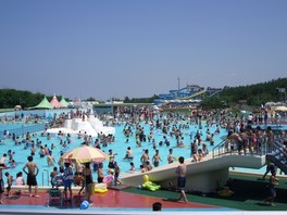 運動広場がある海浜公園内の夏季限定プール