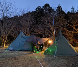 緑に囲まれたキャンプ場