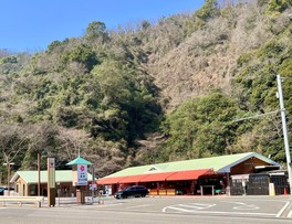 週末には新鮮野菜を求める人々で賑わう