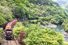 嵐山から亀岡まで保津川沿いを走る