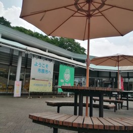 地元農家が育てた旬の野菜や果物が盛りだくさん