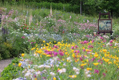 時期により様々な種類の花が咲き誇る