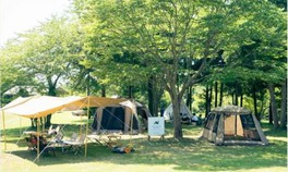 日本海を一望できる自然公園の中にあるキャンプ場