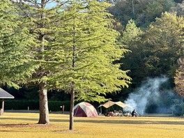 広々とした芝生でキャンプを楽しめる