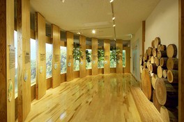 木材・合板に関する資料を広く収集・保存・展示する世界で唯一の博物館