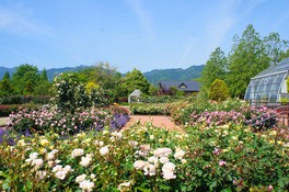 四季折々の花や自然と触れ合える